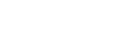 Company 8