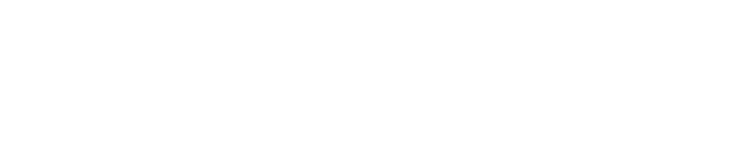 Company 2